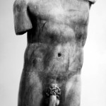 1982-83 urlante nido