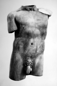 1982-83 urlante nido